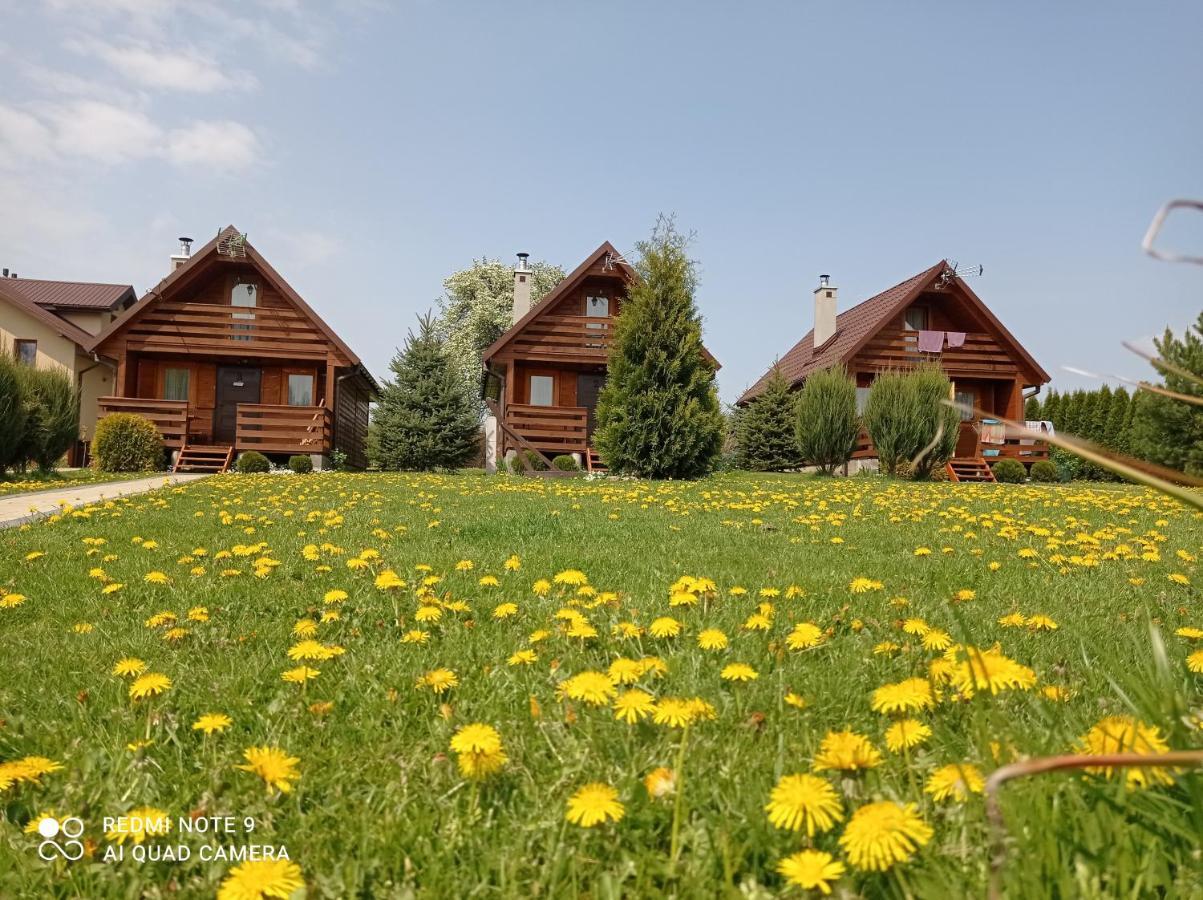 Osrodek Wczasowy "Wczasy Pod Grusza" Hotell Biecz Exteriör bild