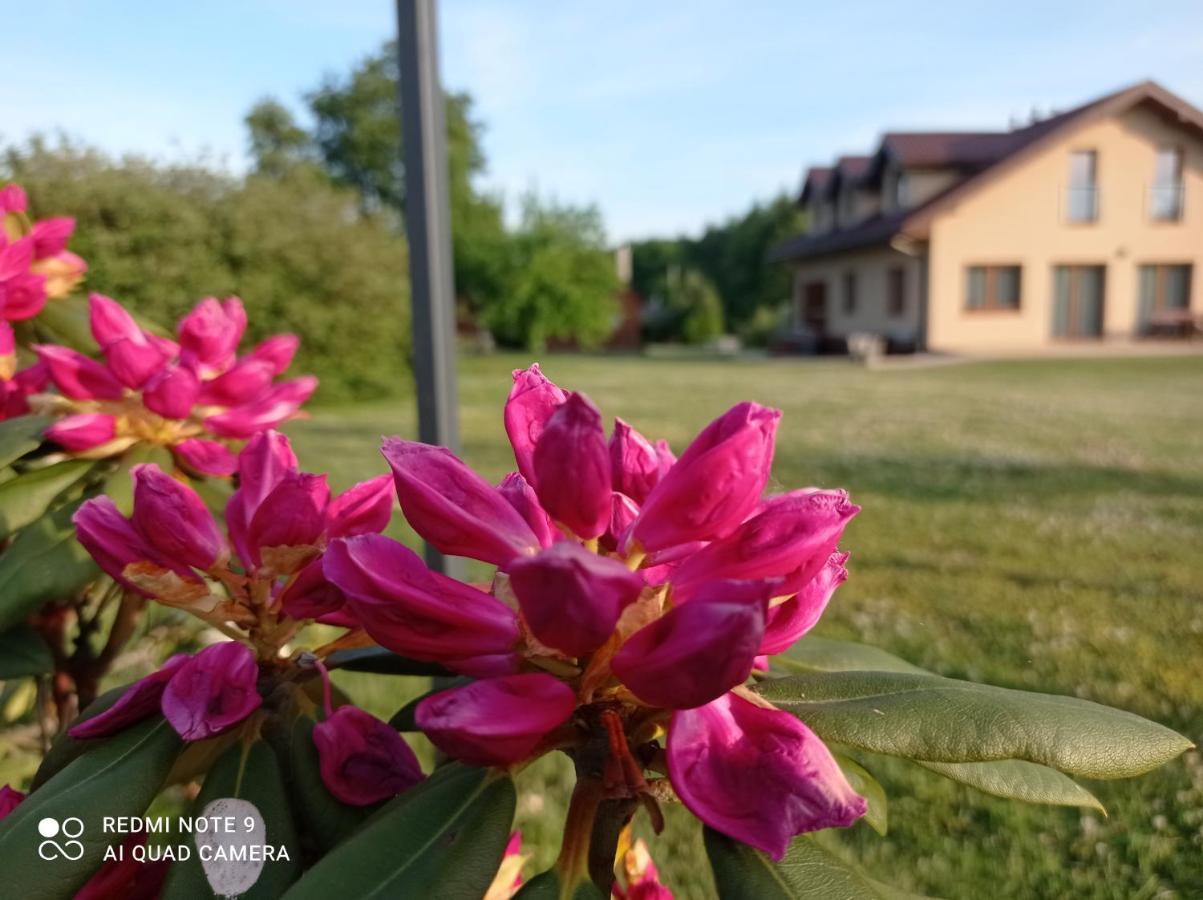 Osrodek Wczasowy "Wczasy Pod Grusza" Hotell Biecz Exteriör bild